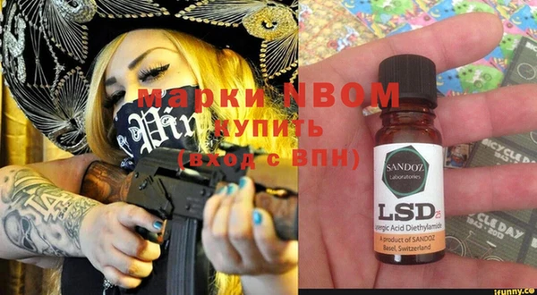 индика Нефтекумск