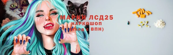 индика Дубовка