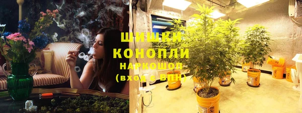 индика Нефтекумск