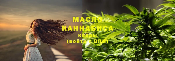 индика Нефтекумск
