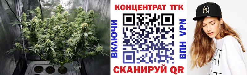 omg зеркало Новая Ладога ТГК Wax купить наркоту